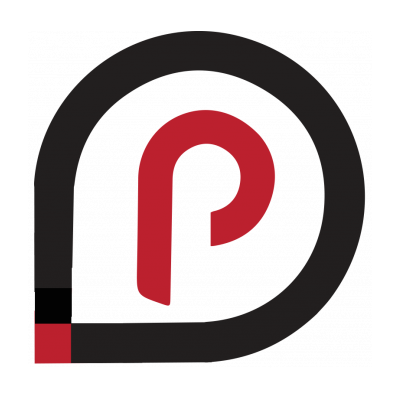 Perspective Website Design Group Logo